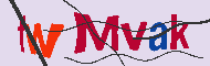 Code Captcha