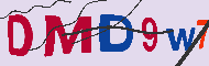 Code Captcha
