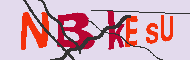 Code Captcha