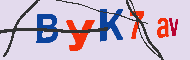 Code Captcha